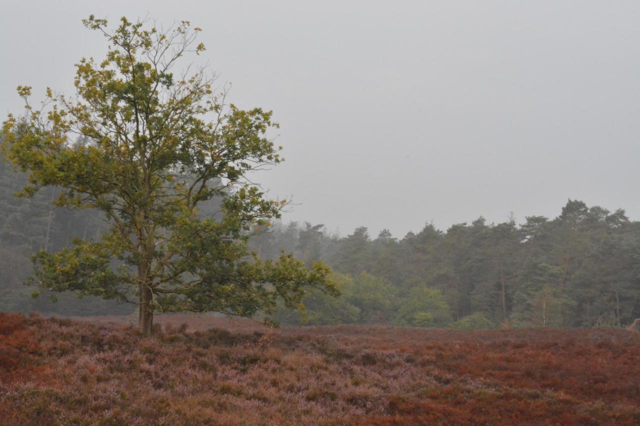 B&B De Loenense Bossen Luaran gambar