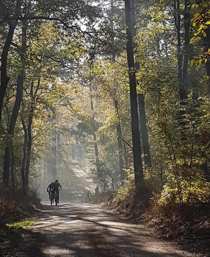 B&B De Loenense Bossen Luaran gambar