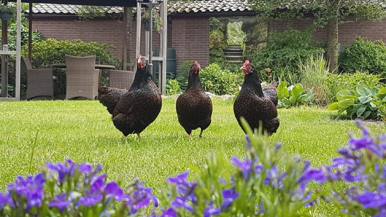 B&B De Loenense Bossen Luaran gambar